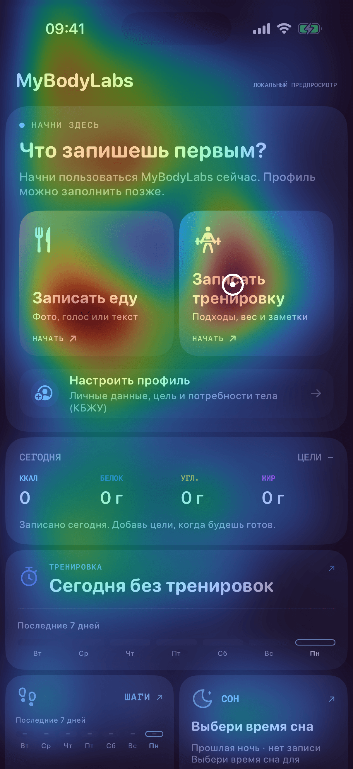 The earlier study's Russian MyBodyLab Home fixture with its computed attention overlay, where Food and Workout carried more predicted attention than profile setup